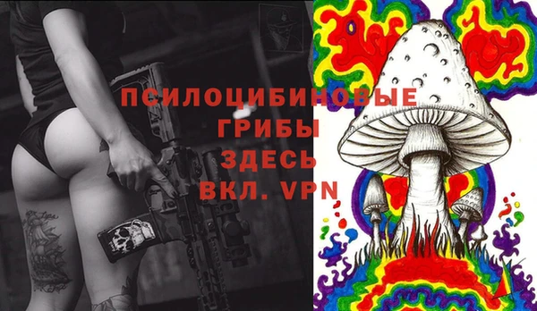 эйфоретик Заволжье