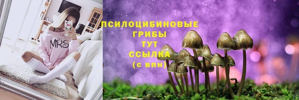 mdma Зерноград