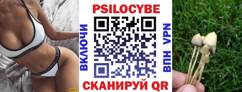 Псилоцибиновые грибы GOLDEN TEACHER  Кисловодск 